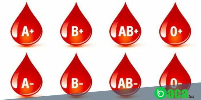 Berbagai Fakta Jenis Golongan Darah yang Harus Diketahui